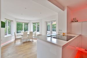 Photo 41- click for photo gallery